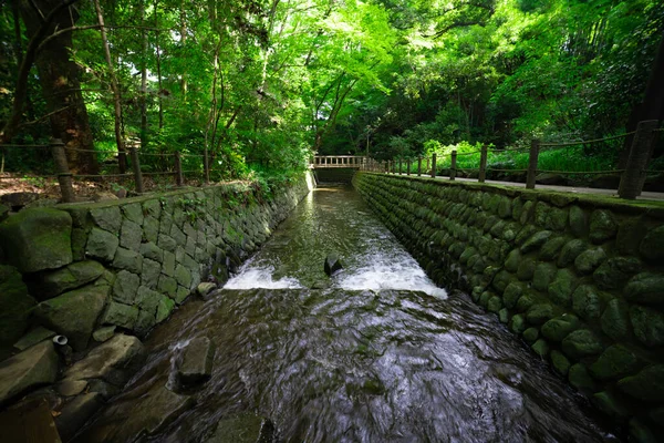 stock image A small valley near the river in Todoroki Tokyo wide shot. High quality photo. Setagaya district Todoroki Tokyo Japan 08.02.2023 Here is Todoroki valley in Tokyo.