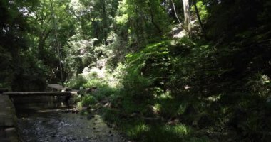 Todoroki Tokyo 'da nehrin kıyısındaki küçük bir vadi. Yüksek kalite 4K görüntü. Setagaya bölgesi Todoroki Tokyo Japonya 08.02.2023 Tokyo 'daki Todoroki vadisi..