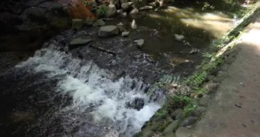 Yazın Tokyo 'da bir Todoroki nehri. Yüksek kalite 4K görüntü. Setagaya bölgesi Todoroki Tokyo Japonya 08.02.2023 Tokyo 'daki Todoroki vadisi..