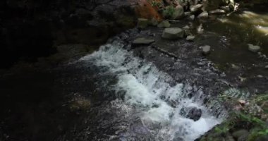 Yazın Tokyo 'da bir Todoroki nehri. Yüksek kalite 4K görüntü. Setagaya bölgesi Todoroki Tokyo Japonya 08.02.2023 Tokyo 'daki Todoroki vadisi..