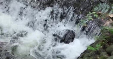 Tokyo 'daki Todoroki Vadisi' nin bir nehri yazın telefoto ile vuruldu. Yüksek kalite 4K görüntü. Setagaya bölgesi Todoroki Tokyo Japonya 08.02.2023 Tokyo 'daki Todoroki vadisi..