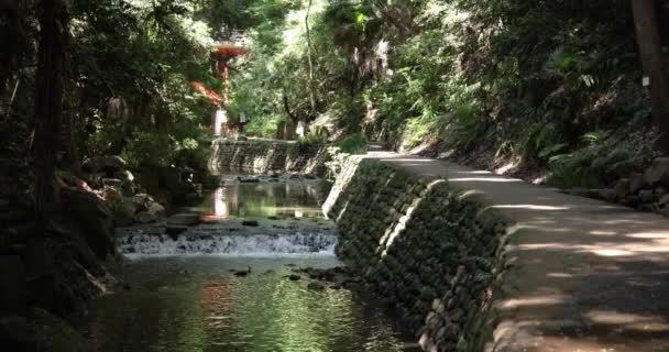 Pequeno Vale Perto Rio Todoroki Tóquio Tiro Largo Imagens Alta — Vídeo de Stock