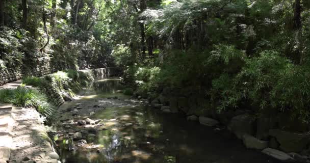 Een Kleine Vallei Buurt Van Rivier Todoroki Tokio Breed Schot — Stockvideo