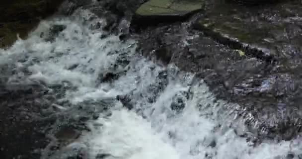 Tokyo Daki Todoroki Vadisi Nin Bir Nehri Yazın Telefoto Ile — Stok video