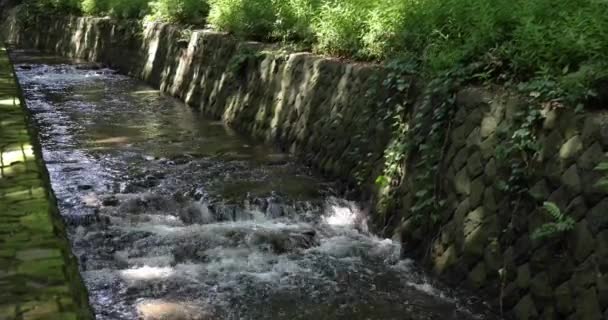 Sebuah Lembah Kecil Dekat Sungai Todoroki Tokyo Rekaman Berkualitas Tinggi — Stok Video