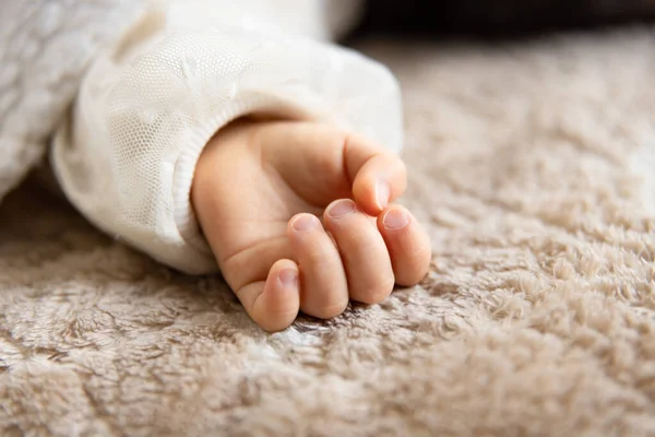 stock image A left hand of sleeping asian baby on the carpet. High quality photo. 02.25.2023. This is an one years old kids hand.