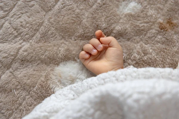 stock image A right hand of sleeping asian baby on the carpet. High quality photo. 02.25.2023. This is an one years old kids hand.