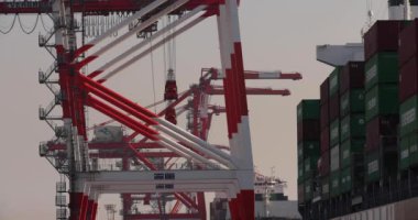 Konteynır ve vinç Aomi Tokyo limanına yakın. Yüksek kalite 4K görüntü. Koto bölgesi Aomi Tokyo Japonya 01.20.2023 Tokyo 'da bir konteynır limanı. Adı Aomi konteyner portu.. 