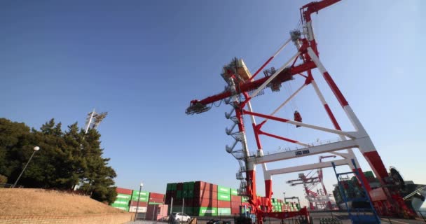 Container Guindaste Perto Porto Aomi Tokyo Imagens Alta Qualidade Koto — Vídeo de Stock