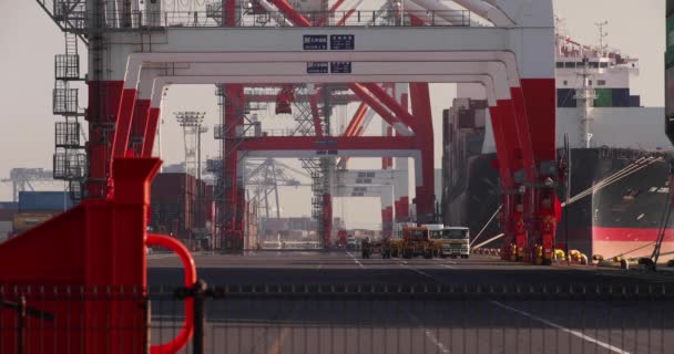 Container Und Kran Hafen Von Aomi Tokyo Hochwertiges Filmmaterial Koto — Stockvideo