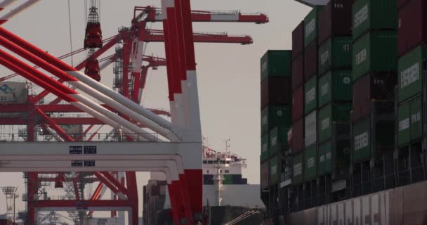 Konteynır Vinç Aomi Tokyo Limanına Yakın Yüksek Kalite Görüntü Koto — Stok video