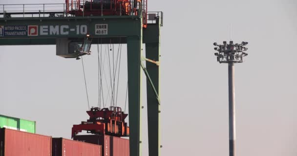 Container Crane Port Aomi Tokyo High Quality Footage Koto District — Stock Video