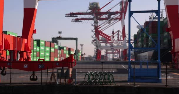 Container Crane Port Aomi Tokyo High Quality Footage Koto District — Stock Video