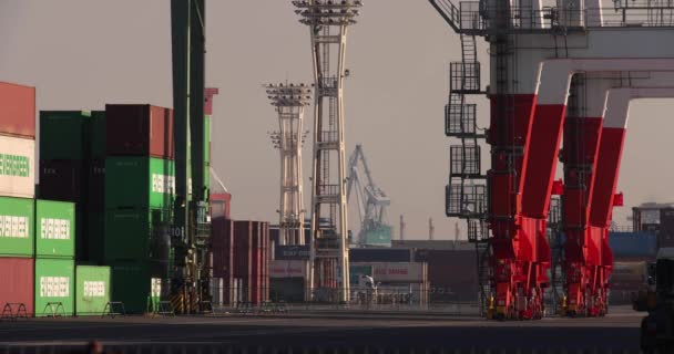 Konteynır Vinç Aomi Tokyo Limanına Yakın Yüksek Kalite Görüntü Koto — Stok video