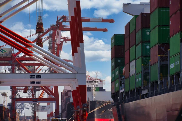 Container Und Kräne Der Nähe Des Hafens Aomi Tokyo Teleobjektiv Stockbild