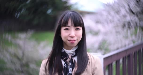 Egy Örvénylő Portré Japán Nőről Cseresznyevirág Mögött Tokióban Kiváló Minőségű — Stock videók