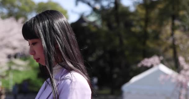 Ritratto Della Donna Giapponese Dietro Fiore Ciliegio Filmati Alta Qualità — Video Stock