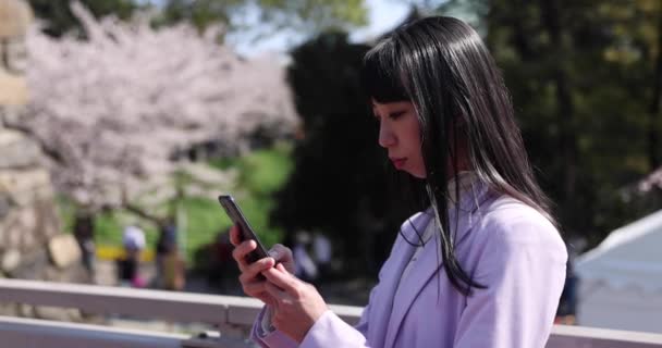 Ένα Πορτραίτο Γιαπωνέζα Πίσω Από Άνθη Κερασιάς Υψηλής Ποιότητας Πλάνα — Αρχείο Βίντεο