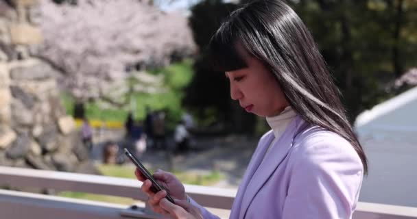 Ritratto Della Donna Giapponese Dietro Fiore Ciliegio Filmati Alta Qualità — Video Stock