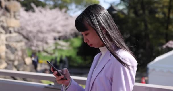 Kiraz Çiçeğinin Arkasındaki Japon Kadının Portresi Yüksek Kalite Görüntü Chiyoda — Stok video