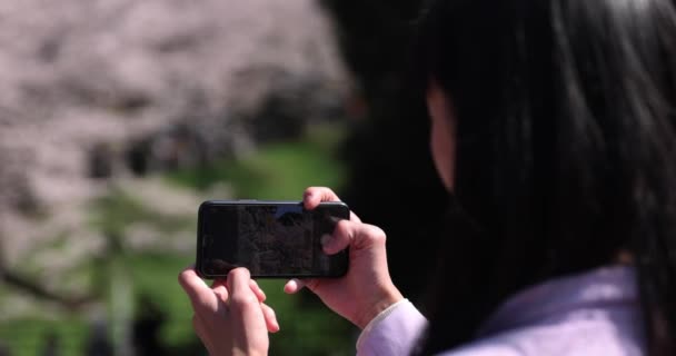 Kiraz Çiçeğinin Arkasındaki Akıllı Telefondan Ateş Eden Japon Kadının Portresi — Stok video