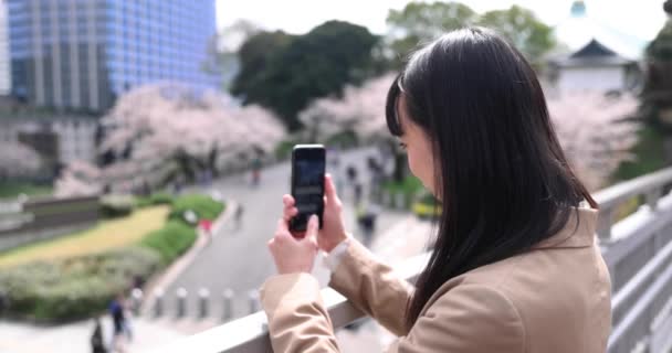 Portret Femeii Japoneze Care Trage Smartphone Spatele Florii Cireșe Imagini — Videoclip de stoc