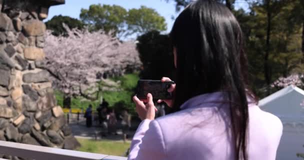 Retrato Mulher Japonesa Atirando Por Smartphone Atrás Flor Cerejeira Imagens — Vídeo de Stock