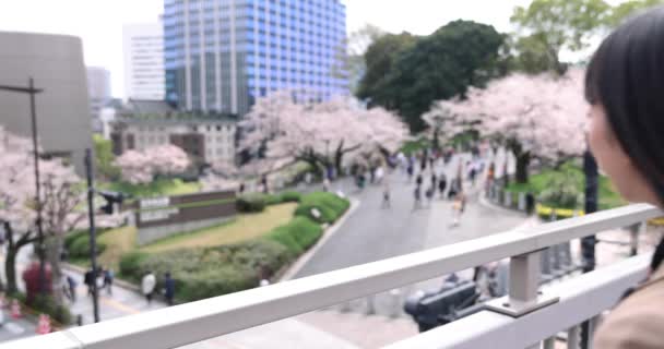 Portrét Japonky Jak Střílí Smartphonem Třešňovým Kvítkem Kvalitní Záběry Chiyoda — Stock video