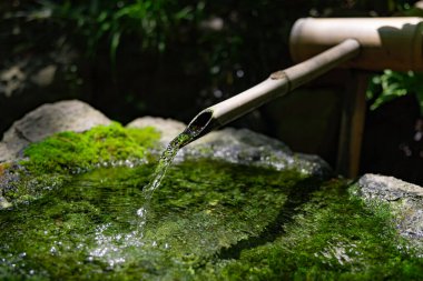 Zen Garden 'daki Japon Bambu Su Çeşmesi Shishi-Odoshi. Yüksek kalite fotoğraf. Kokubunji Bölgesi Tokyo 07.04.2023 Buna Shishi Odoshi denir..