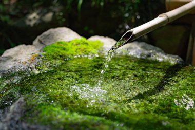 Zen Garden 'daki Japon Bambu Su Çeşmesi Shishi-Odoshi. Yüksek kalite fotoğraf. Kokubunji Bölgesi Tokyo 07.04.2023 Buna Shishi Odoshi denir..
