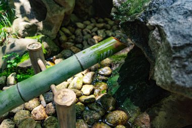 Zen Garden 'daki Japon Bambu Su Çeşmesi Shishi-Odoshi. Yüksek kalite fotoğraf. Kokubunji Bölgesi Tokyo 07.04.2023 Buna Shishi Odoshi denir..