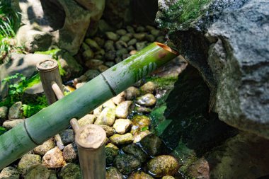 Zen Garden 'daki Japon Bambu Su Çeşmesi Shishi-Odoshi. Yüksek kalite fotoğraf. Kokubunji Bölgesi Tokyo 07.04.2023 Buna Shishi Odoshi denir..