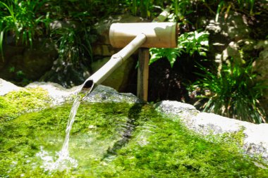 Zen Garden 'daki Japon Bambu Su Çeşmesi Shishi-Odoshi. Yüksek kalite fotoğraf. Kokubunji Bölgesi Tokyo 07.04.2023 Buna Shishi Odoshi denir..