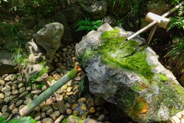 Zen Garden 'daki Japon Bambu Su Çeşmesi Shishi-Odoshi. Yüksek kalite fotoğraf. Kokubunji Bölgesi Tokyo 07.04.2023 Buna Shishi Odoshi denir..