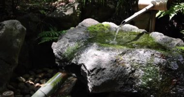 Japon Bambu Su Fıskiyesi Shishi-Odoshi Zen Bahçesinde akıyor. Yüksek kalite 4K görüntü. Kokubunji Bölgesi Tokyo 07.04.2023 Buna Shishi Odoshi denir..
