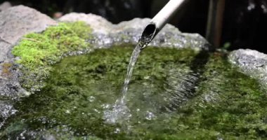 Japon Bambu Su Fıskiyesi Shishi-Odoshi Zen Bahçesinde akıyor. Yüksek kalite 4K görüntü. Kokubunji Bölgesi Tokyo 07.04.2023 Buna Shishi Odoshi denir..
