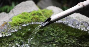 Japon Bambu Su Fıskiyesi Shishi-Odoshi Zen Bahçesinde akıyor. Yüksek kalite 4K görüntü. Kokubunji Bölgesi Tokyo 07.04.2023 Buna Shishi Odoshi denir..