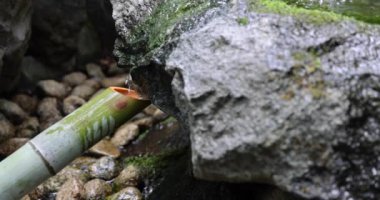 Japon Bambu Su Fıskiyesi Shishi-Odoshi Zen Bahçesinde akıyor. Yüksek kalite 4K görüntü. Kokubunji Bölgesi Tokyo 07.04.2023 Buna Shishi Odoshi denir..