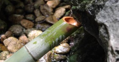 Japon Bambu Su Fıskiyesi Shishi-Odoshi Zen Bahçesinde akıyor. Yüksek kalite 4K görüntü. Kokubunji Bölgesi Tokyo 07.04.2023 Buna Shishi Odoshi denir..