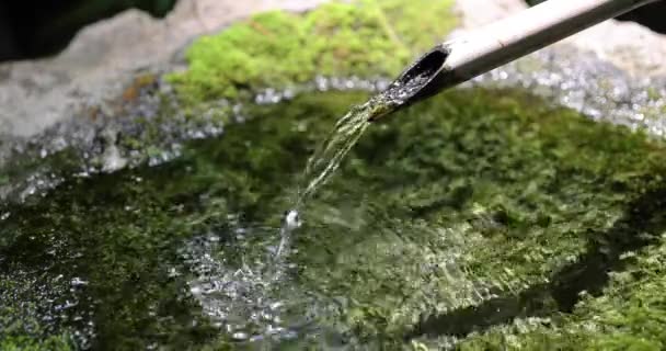 Fonte Água Bambu Japonesa Shishi Odoshi Fluindo Jardim Zen Imagens — Vídeo de Stock