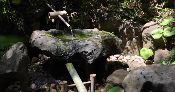 Fonte Água Bambu Japonesa Shishi Odoshi Fluindo Jardim Zen Imagens — Vídeo de Stock