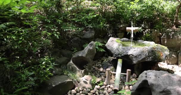 Japon Bambu Fıskiyesi Shishi Odoshi Zen Bahçesinde Akıyor Yüksek Kalite — Stok video