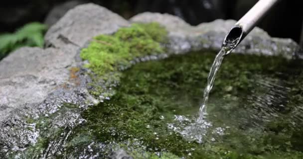 Fuente Agua Bambú Japonés Shishi Odoshi Fluye Jardín Zen Imágenes — Vídeos de Stock