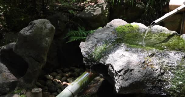 Japán Bambuszszökőkút Shishi Odoshi Folyik Zen Kertben Kiváló Minőségű Felvétel — Stock videók