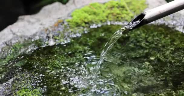 Fontana Acqua Giapponese Bambù Shishi Odoshi Che Scorre Nel Giardino — Video Stock