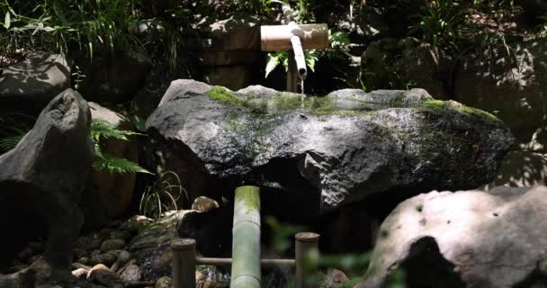 Fontana Acqua Giapponese Bambù Shishi Odoshi Che Scorre Nel Giardino — Video Stock