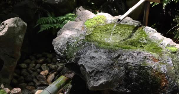 日本の竹水噴水 禅庭に咲く石道 高品質の4K映像を公開しました 国分寺地区 2023 これは西大吉と呼ばれています — ストック動画