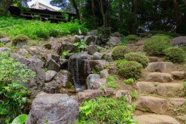 Yazın güneşli bir günde Tonogayato bahçesinde bir Japon bahçe göleti. Yüksek kalite fotoğraf. Kokubunji bölgesi Tokyo 07.04.2023
