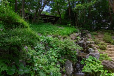 Yazın güneşli bir günde Tonogayato bahçesinde bir Japon bahçe göleti. Yüksek kalite fotoğraf. Kokubunji bölgesi Tokyo 07.04.2023