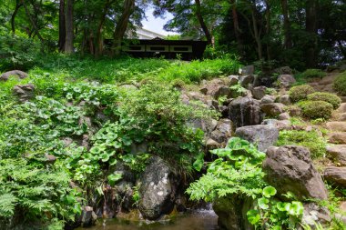 Yazın güneşli bir günde Tonogayato bahçesinde bir Japon bahçe göleti. Yüksek kalite fotoğraf. Kokubunji bölgesi Tokyo 07.04.2023
